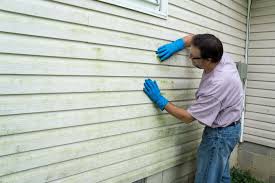 Best Storm Damage Siding Repair  in Batesville, MS